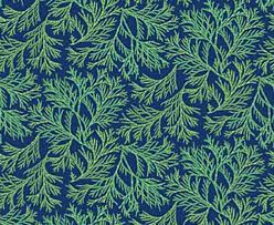 Wild Evergreen Navy