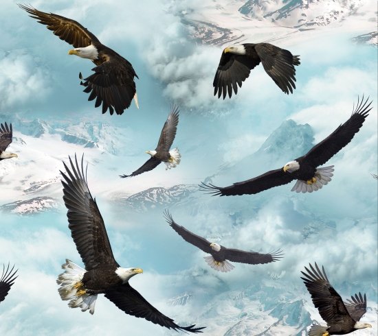 North American Wildlife Eagle - Blue