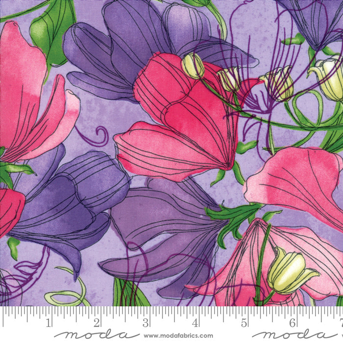 Sweet Pea Lily Lavender - large floral