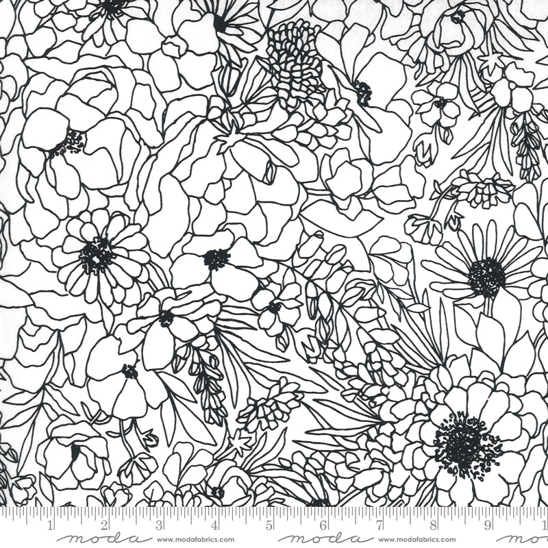 Illustrations - Black Floral Sketches on Paper