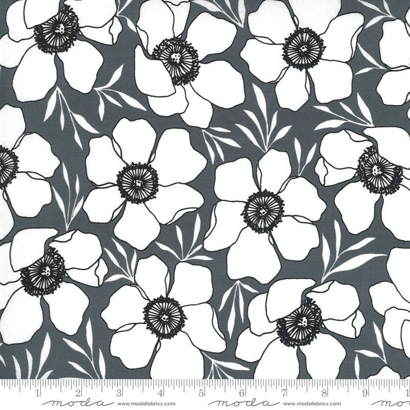 Illustrations - White Flowers on Graphite