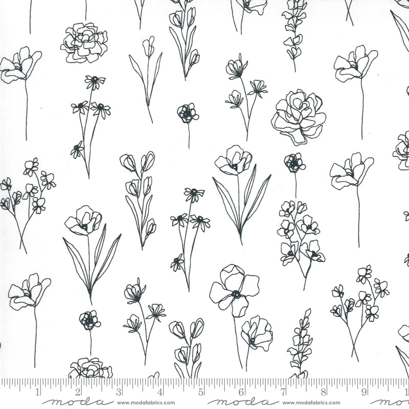 Illustrations - Black Stemmed Floral Sketches on Paper