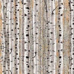 Timberland Trail BIRCH TREES TAN