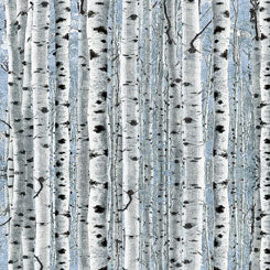 Timberland Trail BIRCH TREES BLUE