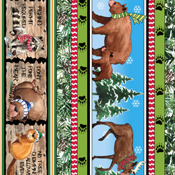 NORTH WOODS DECORATIVE STRIPE MULTI