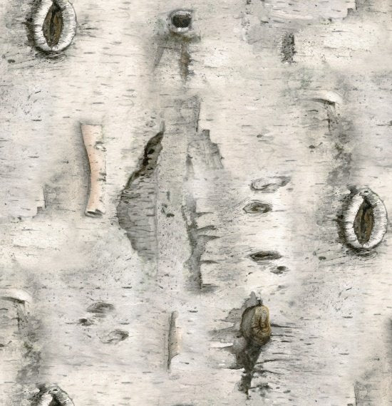 ES-Landscape Medley  4324 Gray Birch Bark