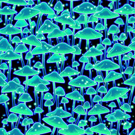 Summer Night Soriee - Mushrooms