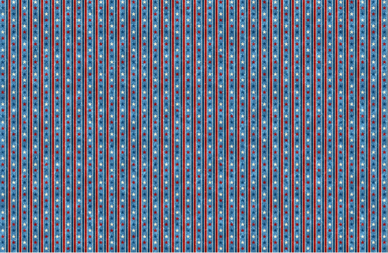 Stars and Stripes Blue Multi Border