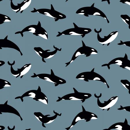 Orcas Gray