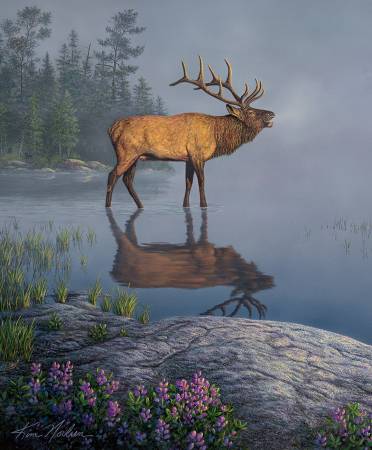 Natures Finest - Elk